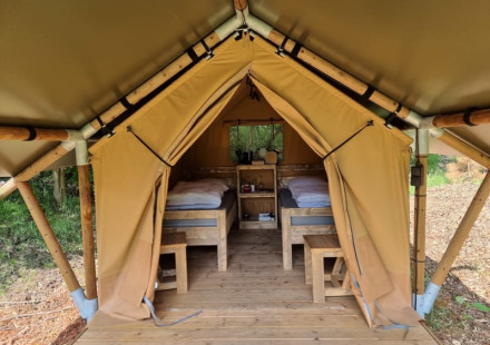 Binnenkant van een safaritent met twee bedden en houten meubels op Camping het Horstmannsbos in Nederland.
