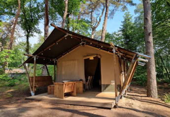 Tenda safari con veranda di legno, panche, altalena e tavolo tra alberi in un ambiente boschivo.