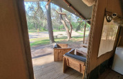 Vista desde una terraza de tienda safari con muebles de madera en Camping het Horstmannsbos, Países Bajos.