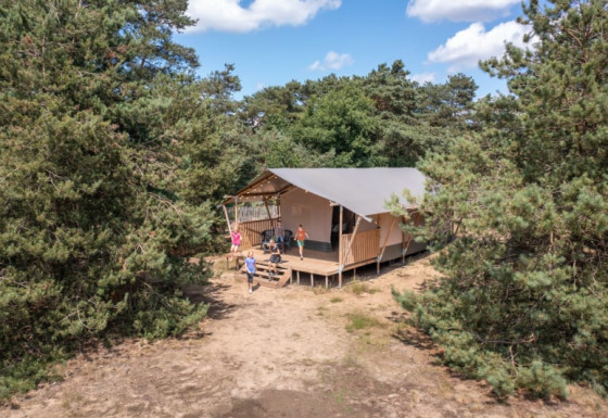 Tenda safari in una radura, persone sulla veranda, circondata da alberi e cielo azzurro.