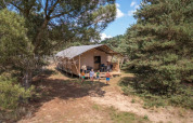 Familia disfruta al aire libre junto a una tienda safari en Camping GT Keiheuvel, rodeada de bosque en Bélgica.