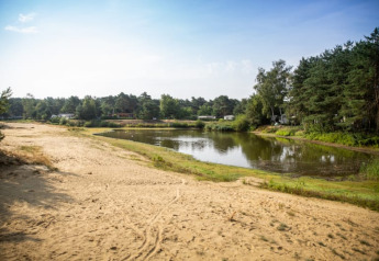 Vista sul lago e sulla spiaggia sabbiosa dalla tenda Safari al Camping GT Keiheuvel in Belgio, circondata da alberi.