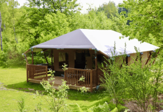 Safari glamping telt med terrasse og eget bad på Tolne Camping i Danmark, omgivet af grøn natur.