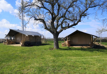 Deux tentes safari au Minicamping MiO en Allemagne, sous un grand arbre sur une pelouse verte.