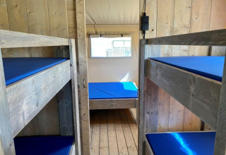 Vista interna di una tenda safari con letti a castello e letto singolo al Recreatiepark Riverside, Paesi Bassi.