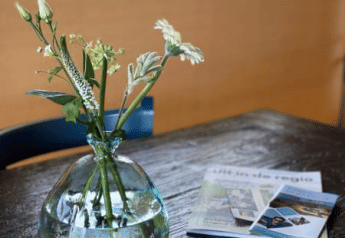 Safaritent met sanitair bij Recreatiepark Riverside, Nederland – vaas met bloemen en brochures op tafel