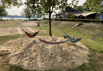 Tre hængekøjer hænger i sandet under træer ved Safari telt med sanitet i Recreatiepark Riverside.