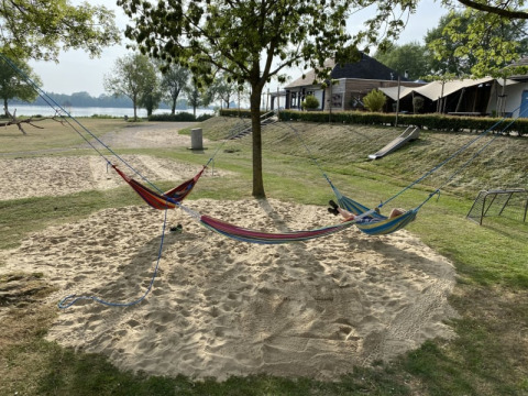 Tre hængekøjer hænger i sandet under træer ved Safari telt med sanitet i Recreatiepark Riverside.
