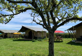 Safari tents at Minicamping Sous les Cloches in France set on green grass with colorful parasols and shade trees.