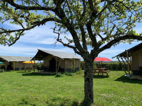Safari tents at Minicamping Sous les Cloches in France set on green grass with colorful parasols and shade trees.