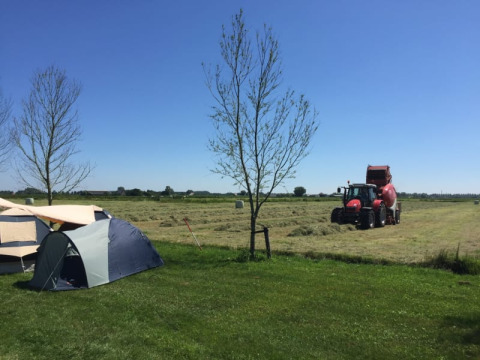 Safaritent op Boerencamping Swarthoeve in Nederland met tractor en weids uitzicht op groene velden.