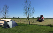 Tienda safari en Boerencamping Swarthoeve, Países Bajos, con tractor y campo abierto bajo cielo azul claro.