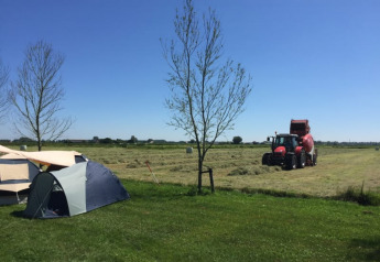 Tienda safari en Boerencamping Swarthoeve, Países Bajos, con tractor y campo abierto bajo cielo azul claro.