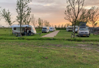 Caravans and camper vans parked on green grass at sunset at Boerencamping Swarthoeve in the Netherlands.