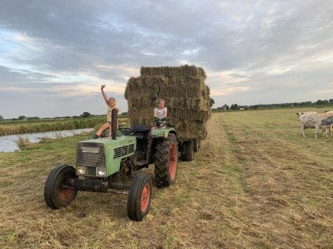 Dos niños en un tractor con balas de heno en Boerencamping Swarthoeve, Países Bajos, vacas al fondo.