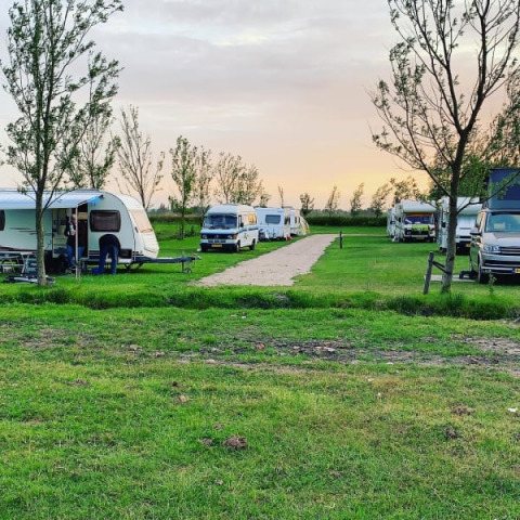 Tienda safari y autocaravanas en Boerencamping Swarthoeve, Países Bajos, rodeadas de campos verdes.
