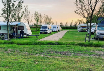 Tienda safari y autocaravanas en Boerencamping Swarthoeve, Países Bajos, rodeadas de campos verdes.