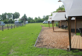 Safari-Zelte mit Holzterrassen auf dem Campingplatz de Waterbuffelfarm in den Niederlanden, grüne Wiese.