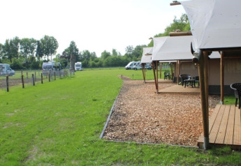 Safari-Zelte mit Holzterrassen auf dem Campingplatz de Waterbuffelfarm in den Niederlanden, grüne Wiese.