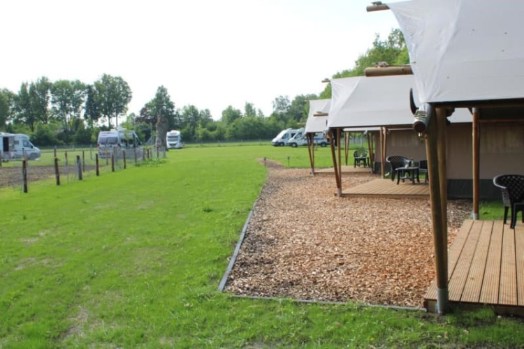 Tiendas safari con terrazas de madera en Camping de Waterbuffelfarm, Países Bajos, rodeadas de vegetación.