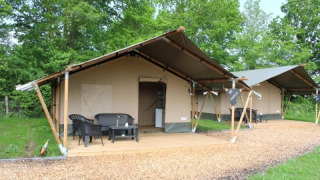 Tiendas safari en fila, con porches y sillas, ubicadas en un entorno de camping rodeado de árboles verdes.