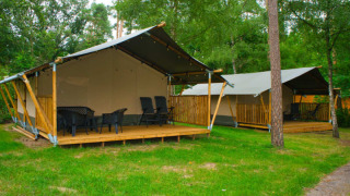 Safari tent with toilet on a wooden deck, surrounded by green grass and trees in a peaceful campsite.