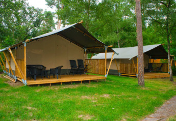 Safari tent with toilet on a wooden deck, surrounded by green grass and trees in a peaceful campsite.