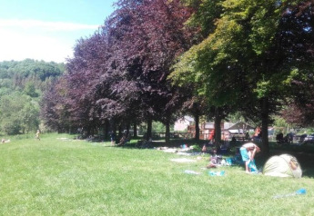 Grüne Wiese mit Bäumen und Zelten am Safari-Zelt des Camping Village Sy in Belgien bei Sonnenschein.