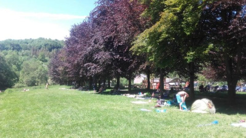 Grønt felt med træer og telte ved Safari-teltet på Camping Village Sy i Belgien på en solskinsdag.