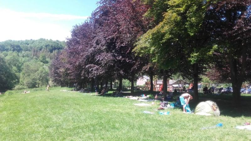 Groen veld met bomen en tenten bij de Safari tent van Camping Village Sy in België op een zonnige dag.