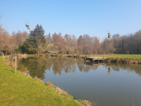 Ruhiges Bild eines Sees mit Steg bei Moulin du Pommier Glamping & Camping, umgeben von Bäumen und Wiese.