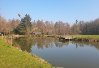Peaceful view of a pond with a wooden jetty at Moulin du Pommier Glamping & Camping, surrounded by nature.