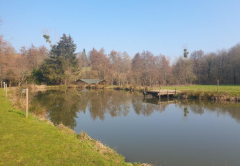 Ruhiges Bild eines Sees mit Steg bei Moulin du Pommier Glamping & Camping, umgeben von Bäumen und Wiese.