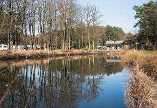 Vista su uno stagno tranquillo che riflette gli alberi al Safari tent del Camping het Swinnenbos, Belgio.