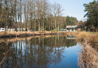 Blik op een stille vijver met weerspiegelende bomen bij safaritent op Camping het Swinnenbos, België.