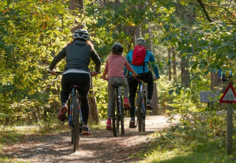 Three people ride bicycles on a forest path near a safari tent at Camping het Swinnenbos in Belgium.