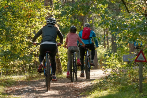 Tres personas montan bicicleta por un sendero forestal cerca de una tienda safari en Camping het Swinnenbos, Bélgica.