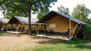 Safaritenten met veranda, tafels en stoelen op een groene camping, perfect voor een buitenvakantie.