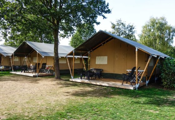 Safari tents with porches, tables, and chairs set on a green campsite, perfect for outdoor adventures.