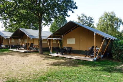 Tentes safari avec terrasse, tables et chaises sur un camping verdoyant, parfait pour une escapade nature.