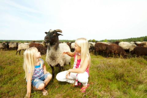 Twee blonde meisjes zitten bij een schaap in het grasveld bij een safaritent op Camping Sonnenberg, Duitsland.