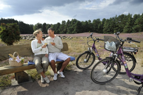 Paar genießt Picknick auf Bank mit Fahrrädern vor Heidelandschaft und Schafen bei Camping Sonnenberg.
