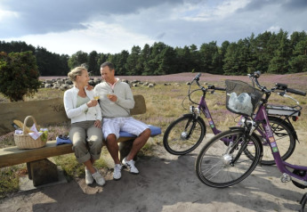 Coppia fa picnic su panchina con biciclette vicino a pecore e brughiera al Camping Sonnenberg, Germania.