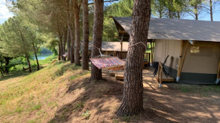 Tienda safari con baño privado bajo pinos, hamaca y vistas al lago y bosque de fondo.