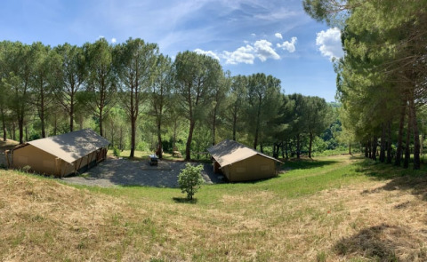 Tienda safari con baño privado en Casa & Glamping Sorriso, Italia, rodeada de pinos y naturaleza verde.