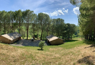 Safari-telt med eget bad i Casa & Glamping Sorriso, Italien, omgivet af fyrretræer under blå himmel.