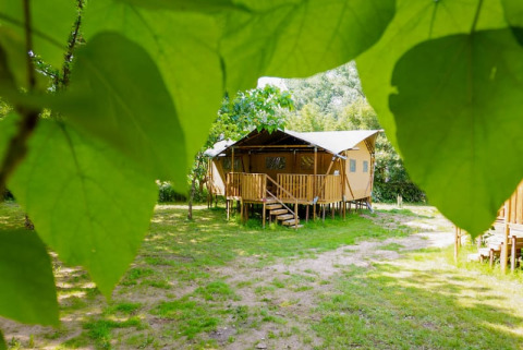 Safari-Zelt mit eigenem Bad auf Camping Pittoresque in Frankreich, eingerahmt von großen grünen Blättern.
