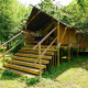 Photo of a safari tent named Duo Lodge, elevated on wooden stilts, surrounded by lush green trees and grass.