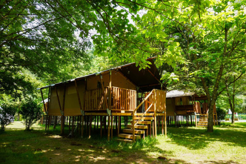 Safari tents elevated on wooden platforms in a lush green forest, surrounded by sunlight and trees.