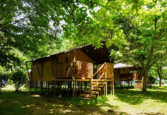 Tende safari rialzate su piattaforme di legno, immerse in una foresta verde e circondate dalla natura.